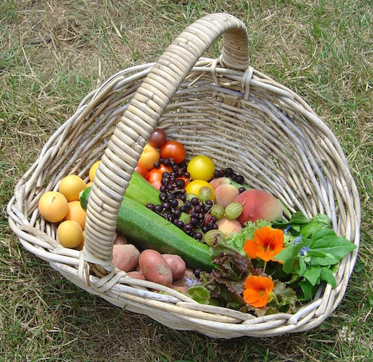 basket of summer vegetables