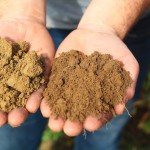 comparing organic and biodynamic soil