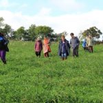 Farm walk at Huxhams Cross Farm
