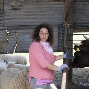 Image by Walter Lewis from report of Fadia Courts of Wheelbarrow Farm is a mixed small holding just outside Stroud in Gloucestershire.