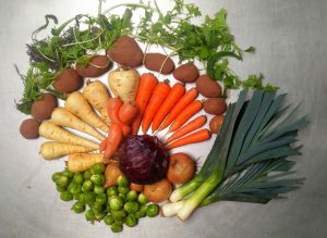 Christmas veg from Huxhams Cross Farm