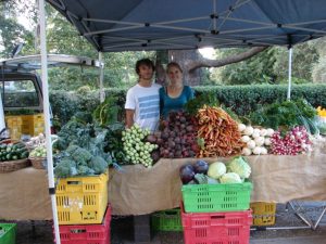 Market stall in New Zealand from Land Trust NZ