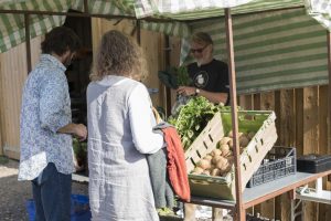 Bob Mehew at Huxhams Cross Farm veg stall