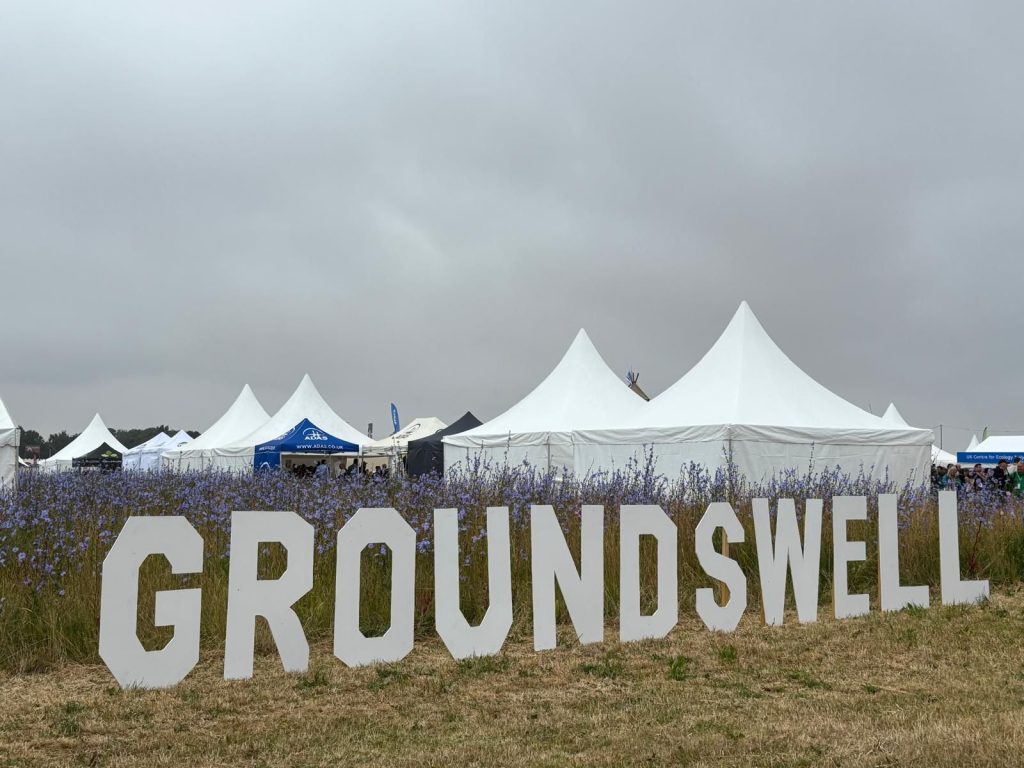 Groundswell 2025