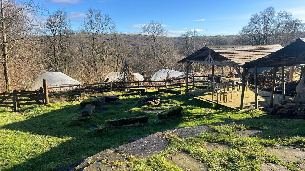 Outdoor space and polytunnels at Backsbottom Farm
