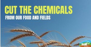 Image of crops and the tag line Cut the Chemicals