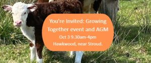 an invitation showing a calf